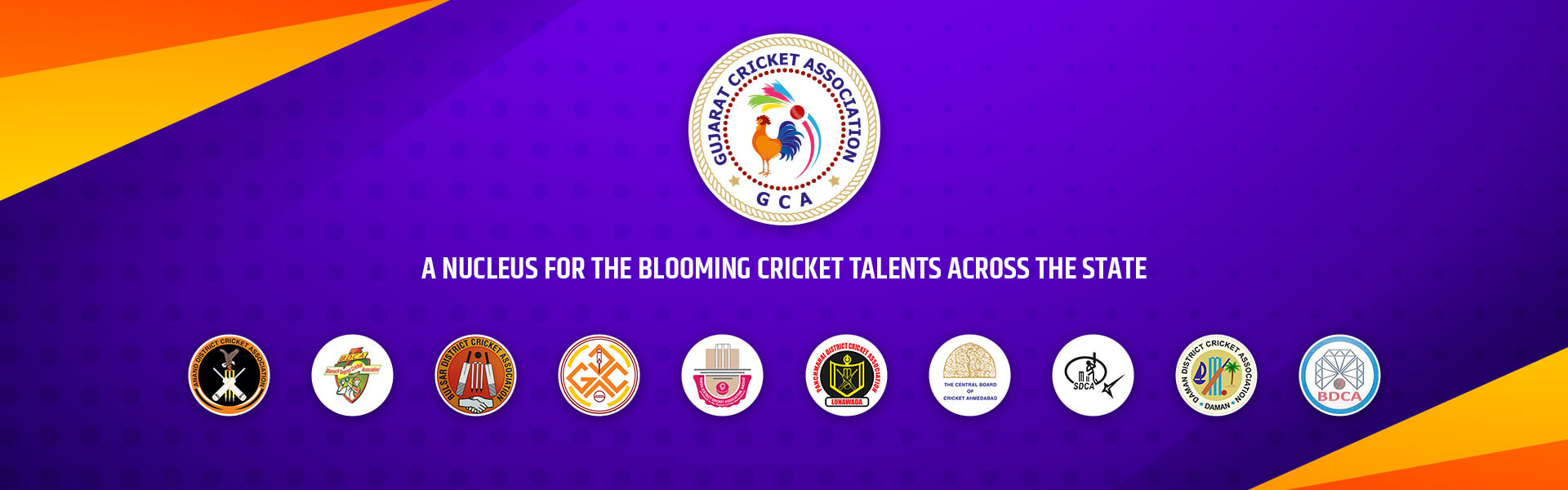 Mannar District Cricket Association
